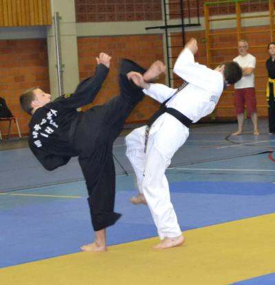 Taekwondo en hapkido